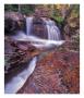 Red Rock Along Virginia Creek In Glacier National Park, Montana, Usa by Chuck Haney Limited Edition Print