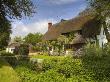 Traditional Thatched Cottage In The Village Of Rockbourne, Hampshire, England by Adam Burton Limited Edition Print