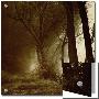 Foggy Path Through Forest by Ewa Zauscinska Limited Edition Print