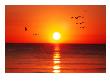 Gulls Reign Over Tranquil Sunset by Images Monsoon Limited Edition Print