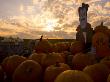 Sunset Casts A Glow Over A Halloween Vampire And His Pumpkins by Stephen St. John Limited Edition Print