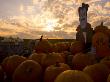 Sunset Casts A Glow Over A Halloween Vampire And His Pumpkins by Stephen St. John Limited Edition Pricing Art Print