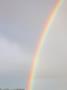 Rainbow Over New Zealand Owned Forested Snares Sub-Antarctic Islands by Steve & Donna O'meara Limited Edition Print