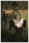 Wagon Pony by Steve Hunziker Limited Edition Print