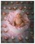 Cupcake by Linda Johnson Limited Edition Print
