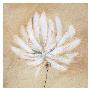 Tan And White by Sarah Parker Limited Edition Print