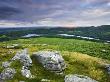 Looking Down Towards Burrator Reservoir From Sheepstor, Dartmoor National Park, Devon, England, Uk by Adam Burton Limited Edition Print