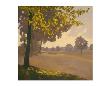 Autumn Memories Ii by Graham Reynolds Limited Edition Print