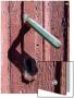 Old, Metal Handle On A Wooden Door by I.W. Limited Edition Print