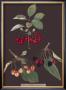 Cherries by George Brookshaw Limited Edition Print