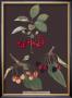 Cherries by George Brookshaw Limited Edition Pricing Art Print