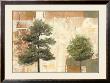 Parchment Trees I by Renbaum Limited Edition Print