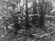 Soldier Setting Up Shelter During Human Factors Testing At Fort Clayton, Panama by H. Hargett Limited Edition Print