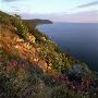 High Angle View Of A Coastline by Ove Eriksson Limited Edition Print