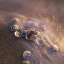 High Angle View Of Shells In Water by Jorgen Larsson Limited Edition Print