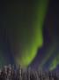 Northern Lights (Aurora Borealis) In Finland by Anders Ekholm Limited Edition Print