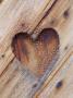 Symbolic Heart Cut In Wood, Norrland, Gotland, Sweden by Eva Hedling Limited Edition Print