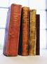 Four Old Books by Gunnar Svanberg Skulasson Limited Edition Print