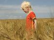 A Girl Standing In A Corn Field by Julia Sjoberg Limited Edition Print