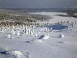 Winter Landscape, Salla, Finland by Kalervo Ojutkangas Limited Edition Print