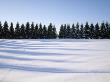 Hare Tracks On Snow, Finland by Kalervo Ojutkangas Limited Edition Print