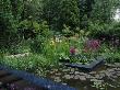 Chelsea Flower Show 2005: Real Rubbish Garden By Claire Whitehouse, Pond - Irises And Primulas by Clive Nichols Limited Edition Print