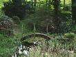 Dunge Valley Hidden Gardens, Cheshire: Bridge Across A Stream At The Bottom Of The Garden by Clive Nichols Limited Edition Pricing Art Print