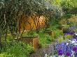 Chelsea Flower Show 2006: Daily Telegraph Garden Designed By Tom Stuart-Smith: Steel Wall And More by Clive Nichols Limited Edition Print