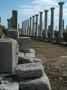 Ancient Street And Columns, Roman Site, Perge, Turkey by Natalie Tepper Limited Edition Print