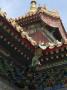 Detail, Lama Temple, Beijing, China by Natalie Tepper Limited Edition Print
