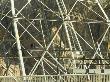 Hoover Dam Electricity Pylons And Overhead Crane In Background by Richard Williamson Limited Edition Pricing Art Print