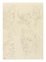 Copie D'après Un Dessin De Léonard De Vinci (Études De Têtes, Bibliothèque Ambroisienne, Milan) by Léonard De Vinci Limited Edition Pricing Art Print