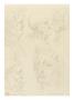Copie D'apres Un Dessin De Leonard De Vinci (Etudes De Tetes, Bibliotheque Ambroisienne, Milan) by Leonard De Vinci Limited Edition Print