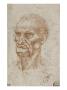 Tete D'homme Age, De Trois Quarts Vers La Gauche by Leonard De Vinci Limited Edition Print