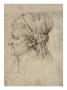 Tete De Femme Agee, Une Etoffe Nouee Sur La Tete by Leonard De Vinci Limited Edition Print