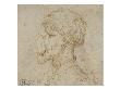 Tete D'homme De Profil, La Face Aplatie by Leonard De Vinci Limited Edition Print
