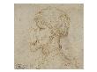 Tête D'homme De Profil, La Face Aplatie by Léonard De Vinci Limited Edition Pricing Art Print