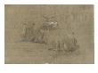 80643 by Pieter Boel Limited Edition Print