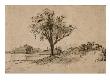 Arbre Au Pied D'une Digue (Diemerdijk ?) Ou Passe Une Voiture by Rembrandt Van Rijn Limited Edition Pricing Art Print