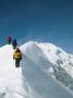 Climbers Hike Along A Ridge On Their Way Up Denali by Bill Hatcher Limited Edition Print