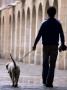 Man, Seen From Behind, Walking His Dog In The Rain By Stone Arches by Stephen Sharnoff Limited Edition Pricing Art Print