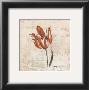 Tulipes Iv by Sylvie Langet Limited Edition Pricing Art Print