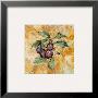 Fruit Frescos Iv by Jenny Mayfeld Limited Edition Pricing Art Print