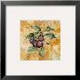 Fruit Frescos Iv by Jenny Mayfeld Limited Edition Print