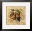 Pears by Richard Henson Limited Edition Pricing Art Print