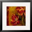 Pandora's Bouquet Ii by Pamela Gladding Limited Edition Print