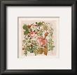 Buisson De Roses Iii by Laurence David Limited Edition Pricing Art Print