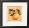 Orange I by Laurence David Limited Edition Pricing Art Print