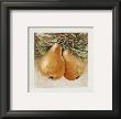 Poires by Laurence David Limited Edition Print