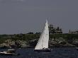 Sailboats By Coast, Ticonderoga Race by Michael Brown Limited Edition Print